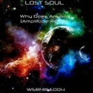 Loving Soul - Why Does Anyone (Amplitude Remix)
