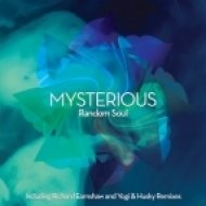 Random Soul - Mysterious (Yogi & Husky Vocal)