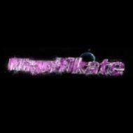Magnifikate - Changes ()