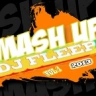 SHM, Tiesto vs. Purple Project & H.P. Baxxter - Antidote ( DJ Fleep Mash-Up )
