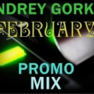 Dj Andrey Gorkin - February Promo Mix 2013 ()