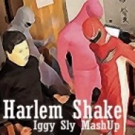 Baauer vs. Calvertron - Harlem Shake (Iggy Sly Mash Up)
