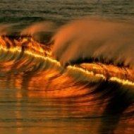 Sea Of Psilocybin - Change Wave From Sea ()