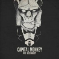 Capital Monkey - Just This Time (Original Mix)