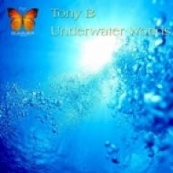 Tony B - To My Mother (Original Mix)