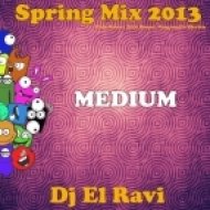 Dj El Ravi - Spring Mix 2013 Club House Tech House Progressive Electro MEDIUM ()