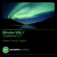 Miroslav Vrlik - November (Original Mix)