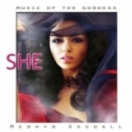 Medwyn Goodall - Awakening From The Dream ()