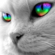 Austen83 - Educated Beats (Rainbow Eye Promo Mix)