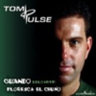 Tom Pulse - Turn Me On (Extended Mix)