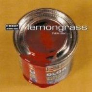 Lemongrass - The Bell (Floating Shadow Remiх)