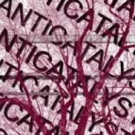 PIVOTAL - Anticatalyst Pt.II ()