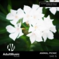 Animal Picnic - She Is (Patrick Podage Remix)