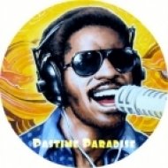 Stevie Wonder - Pastime Paradise ( Mahmut Orhan & Gokhan Aydogmus Remix )