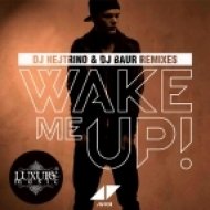 Avicii feat Aloe Blacc - Wake Me Up (DJ Nejtrino & DJ Baur Remix)