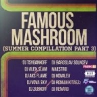 Aviel Brant - Shake Your Body (Dj Zubkoff Mash)