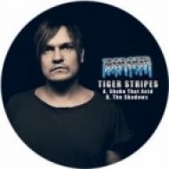 Tiger Stripes - The Shadows (Original Mix)