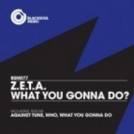 Z.e.t.a. - What You Gonna Do (Original Mix)