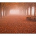 Niklas Thal - Herbstnebel (Original Mix)