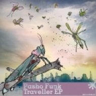 Pasho Funk - Traveller (Original Mix)