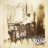 The Molecule Proj. - Love Is A Vision (ft. Bella Sky)