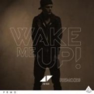 Avicii - Wake Me Up (Original Extended Mix)
