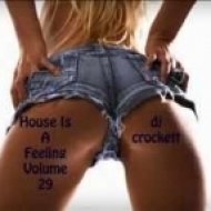 Dj Crockett - House Is A Feeling ()
