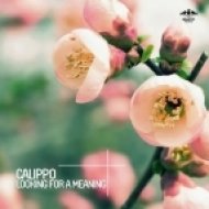 Calippo - Looking for a Meaning (Original Mix)