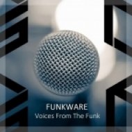 Funkware - Sound Of Love (feat. Albert Tempel - Original Mix) (Original Mix)