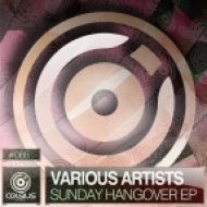 Midnight Request - Sunday Hangover (Original mix)