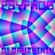 Dj Druzhinin - Psyprog ()