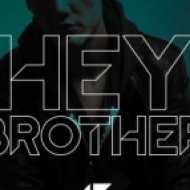 Avicii - Hey Brother (Syn Cole Extended Mix)