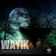 Wayik - Overnight Journey (Original Mix)