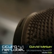 David Meiser - Uncompromising Sound (RRKS Remix)