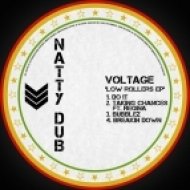 Voltage - Taking Chances (feat. Regina)