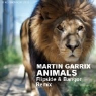 Martin Garrix - Animals (Flip5ide & Bangor Breaks Edit)