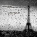 David Divine - Jy Suis Jamais Alle (Original Mix)