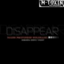 Radi8 feat. Goldillox - Disappear (Seth Vogt Remix)