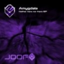 Amygdala - Neither Here Nor There (Live Mix)