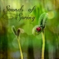 Britewall - Something Familiar (Original mix)
