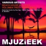 Cruz, Tom A. Baldwin - Acceptance (Main Mix)