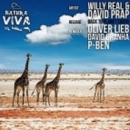 David Prap, Willy Real - Back To Planet Earth (Original Mix)