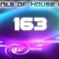 Viel - Elements of House music 163 (320kbps)