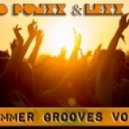 D Punxx & Lexx - Summer Grooves vol.1 ()