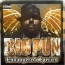 Big Punisher - Twinz (Deep Cover \'98) (feat. Fat Joe)