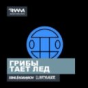 Грибы - Тает Лёд (Denis Agamirov & Stylezz Remix)