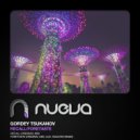Gordey Tsukanov - Foretaste (D. Anuchin Remix)