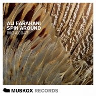 Ali Farahani - Spin Around (Original Mix)