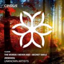 Unknown Artist - The Words I Never Said in D&B (VIP) ()