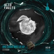 Sterium - Hey Hou (Original mix)